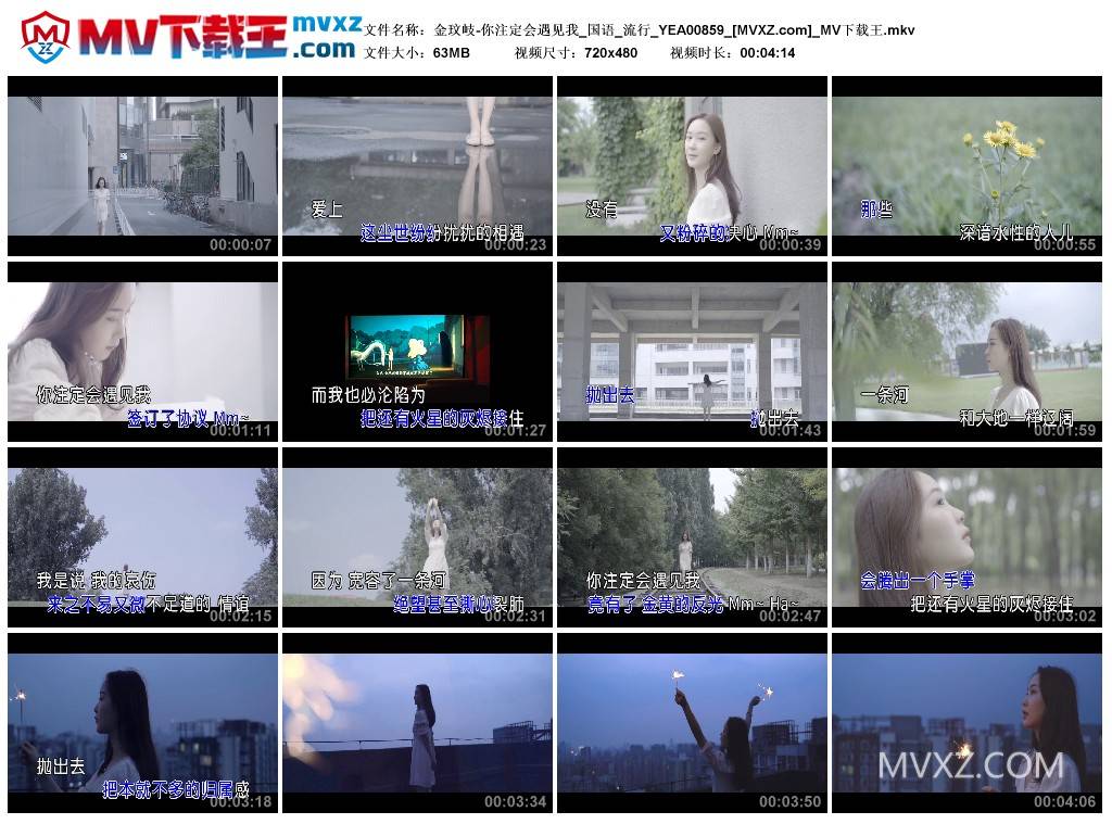 金玟岐-你注定会遇见我_国语_流行_YEA00859